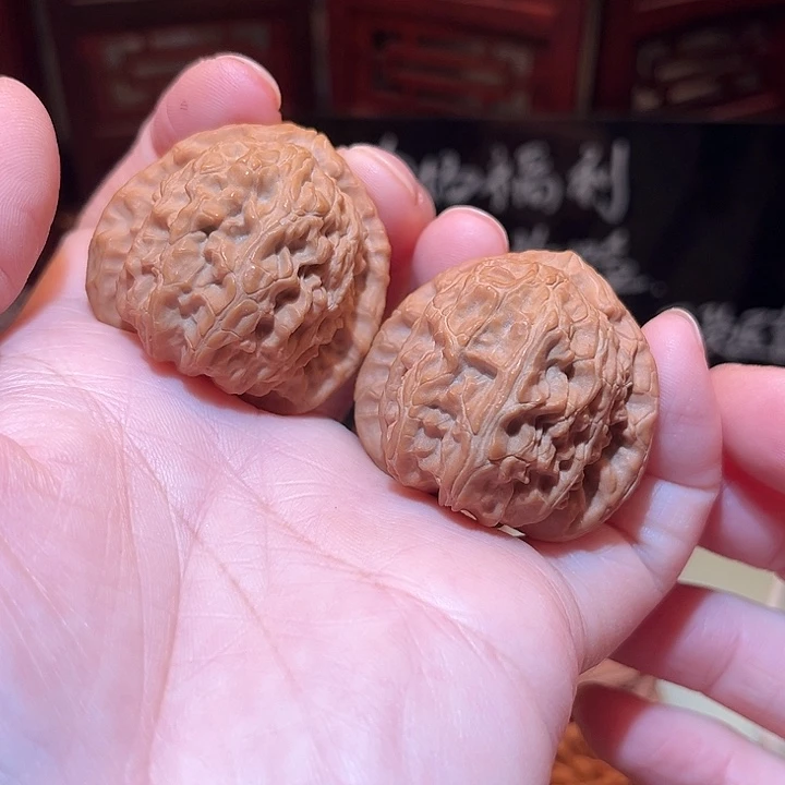 37三角白狮子………………