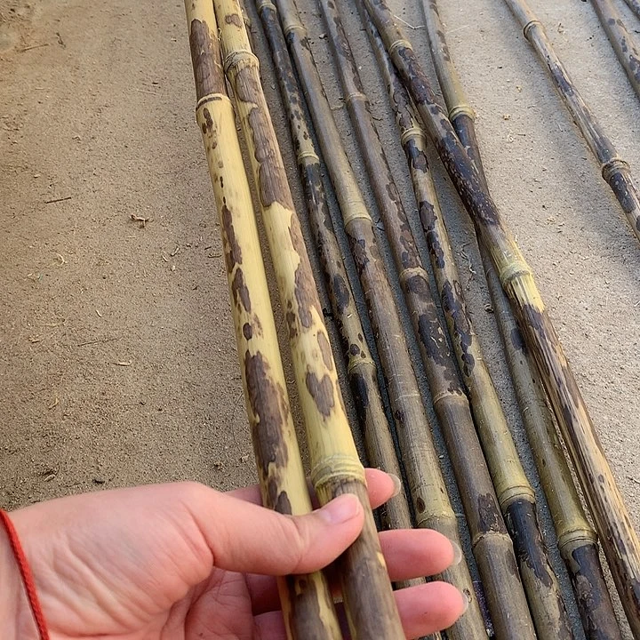 【闪购商品】咖*粉实心玉竹黄皮斑斑