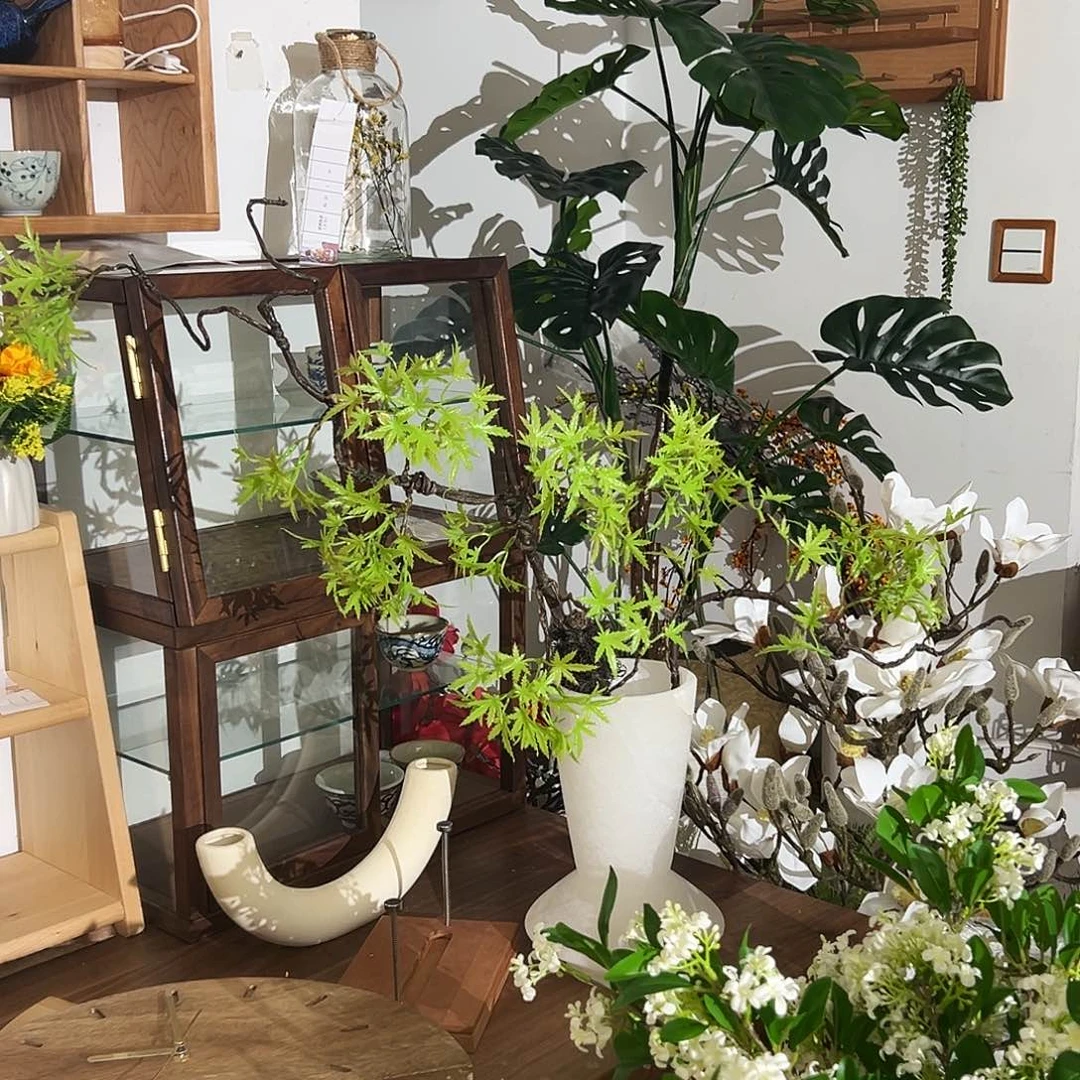 抖音直播两支枫叶藤