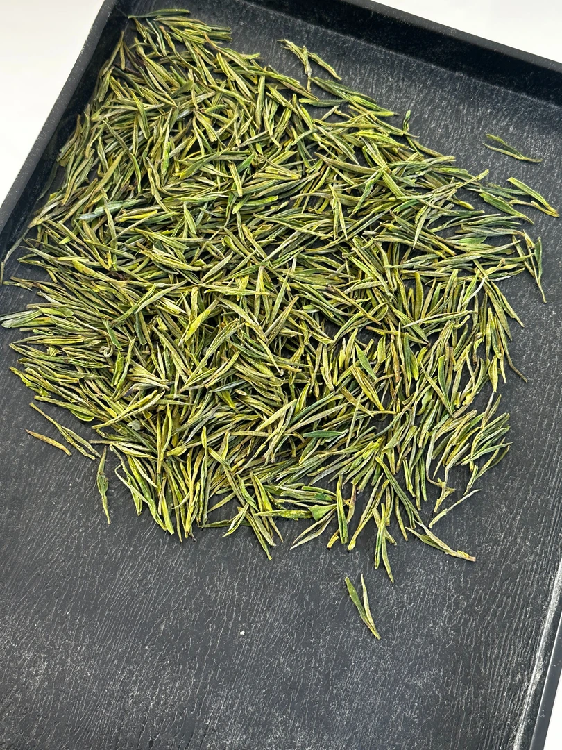 【480】2025年安吉白茶昆铜里江核心产区安吉白茶
