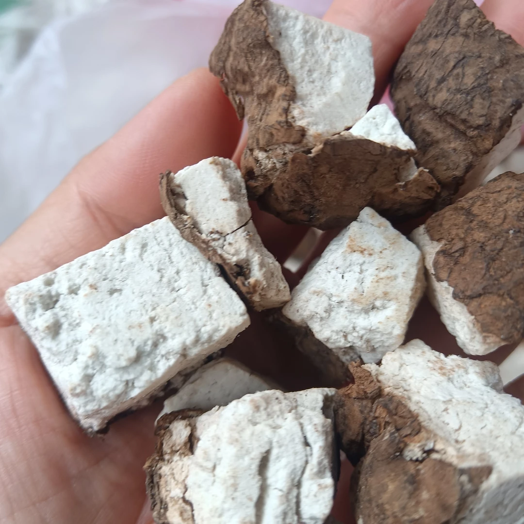 带皮茯苓块可作茯苓茶方便食用