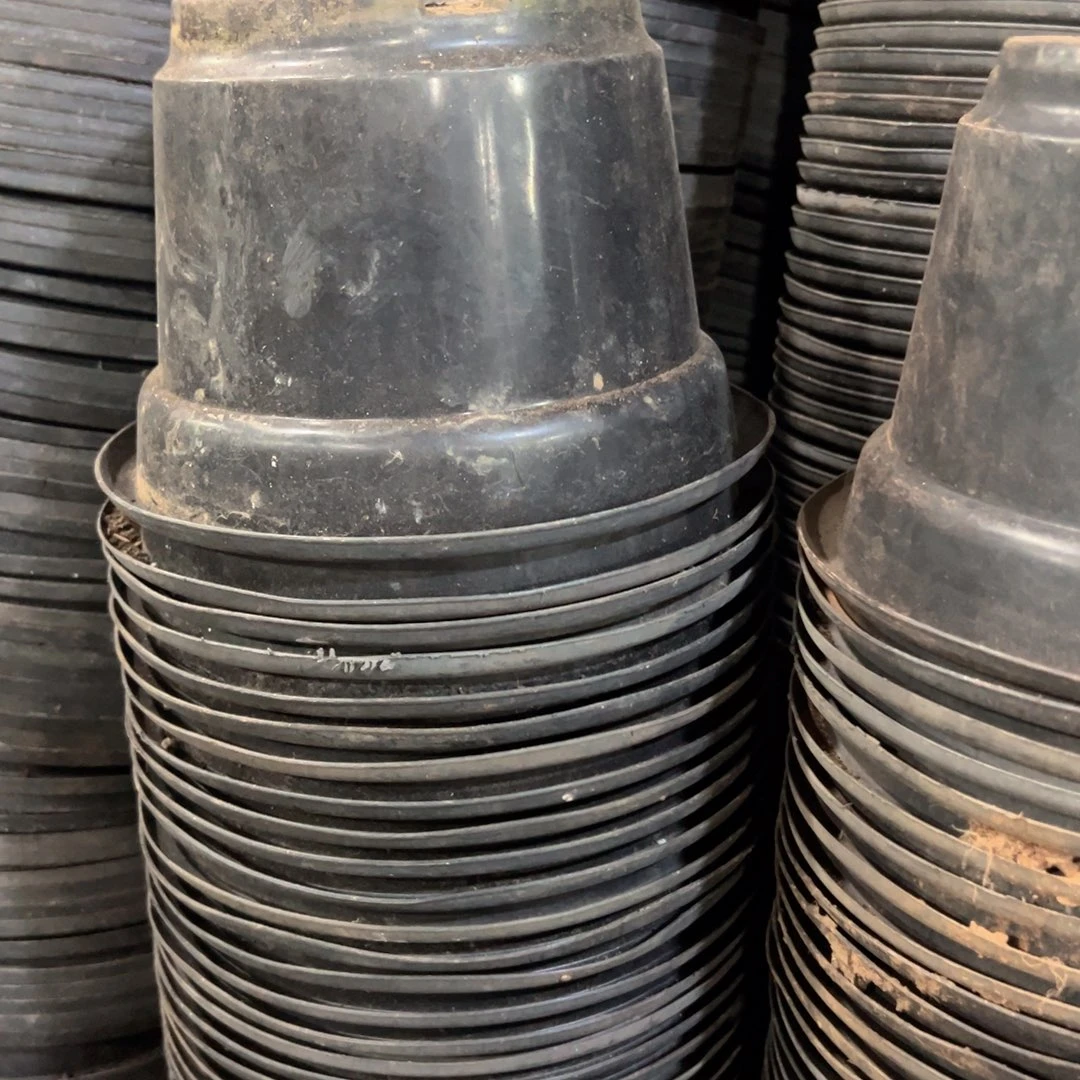 黑圆盆21口径14.5高 15个