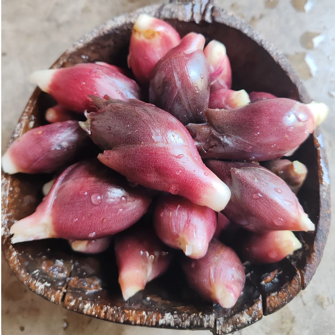 房县高山露天自然生长现摘新鲜洋荷当季蔬菜4斤（发货4-4.5斤）