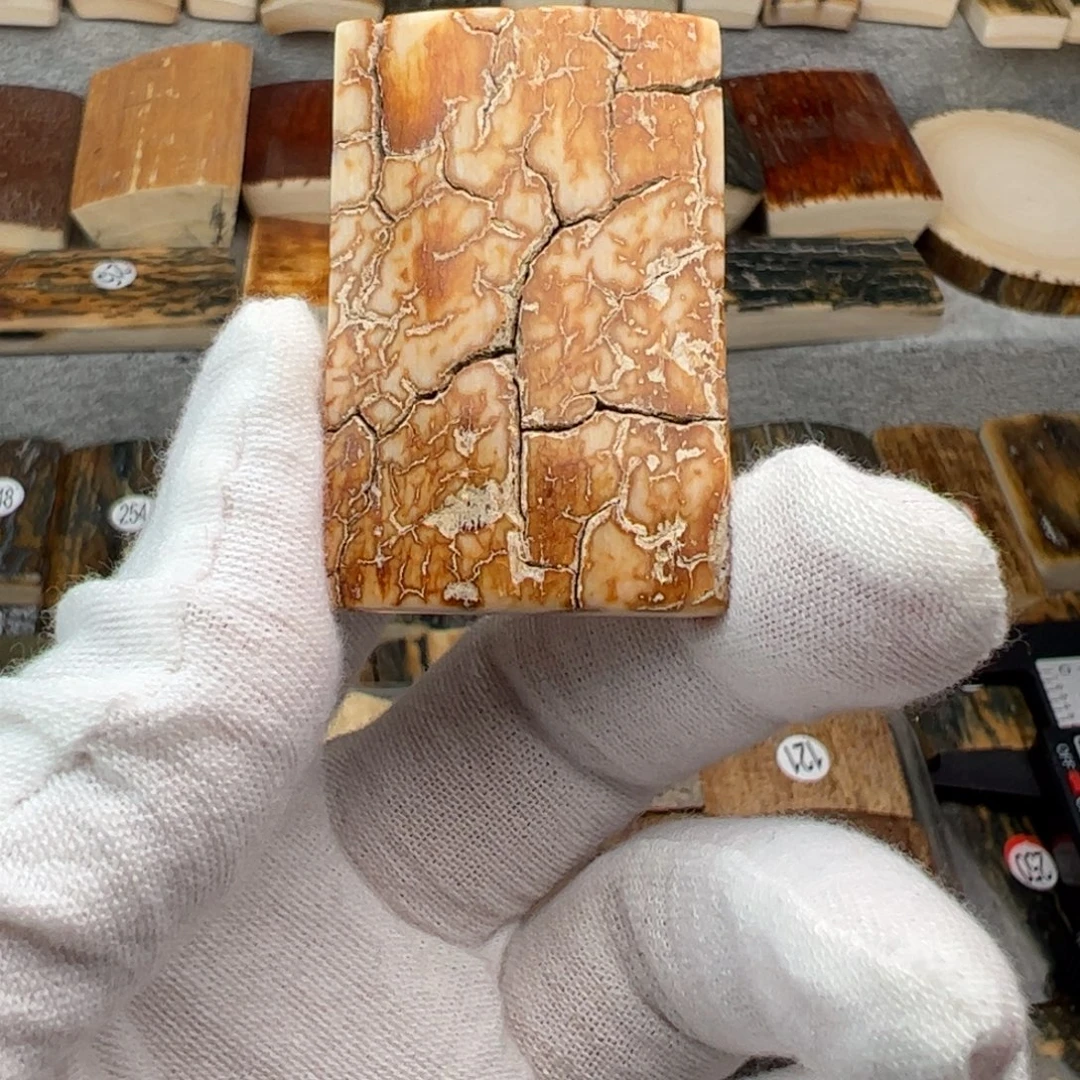 泥塑猛犸制品有限公司