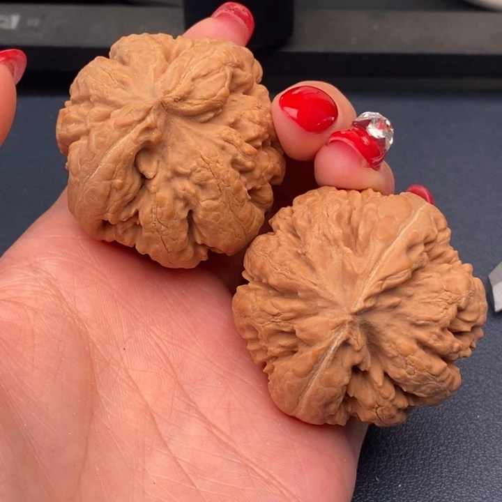 桦***馆霸王龙全品无刀休