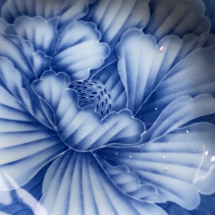 小***菊瓷片哈哈哈哈哈哈哈哈