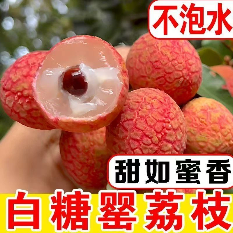 【浮力】广东高州荔枝白糖罂荔枝5斤带箱纯甜不酸顺丰包邮