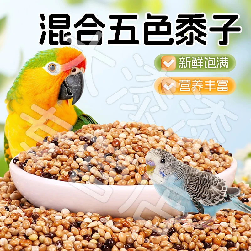 【颗粒饱满 营养丰富】五色黍子鹦鹉混合粮虎皮牡丹中小型鸟食粮XY