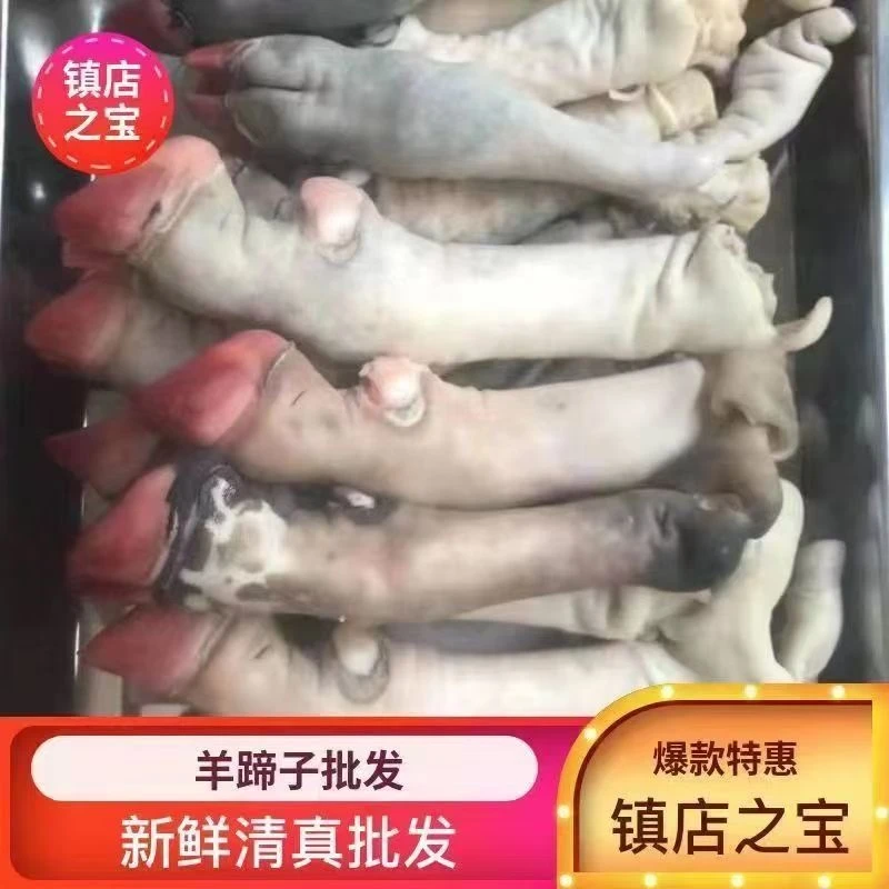 【5斤净重】新鲜现宰羊蹄子羊脚冰鲜发货火锅食材顺丰包邮