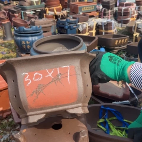 紫砂花盆紫砂花盆盆景盆栽