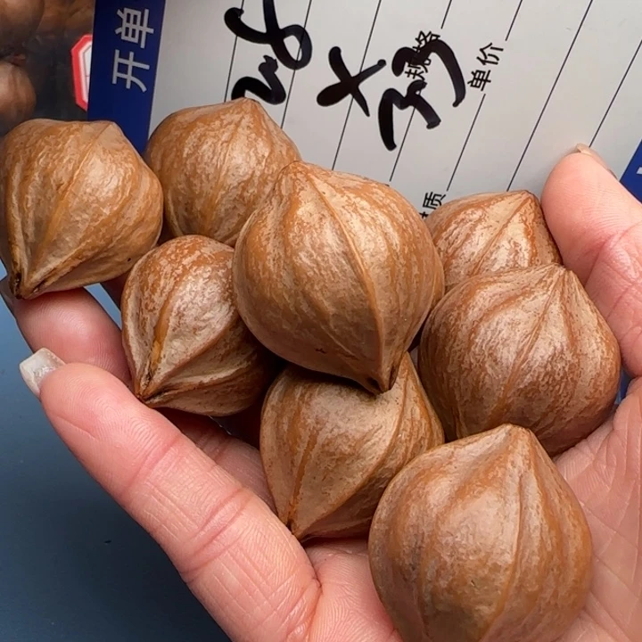 东***橄榄核手串橄榄核