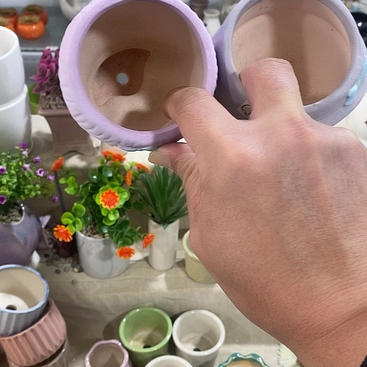 花盆抢购清货马上开始