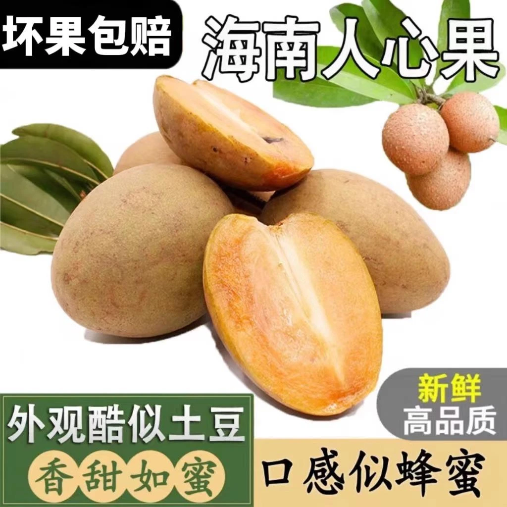 广西人心果新鲜当季整箱孕妇水果现摘稀罕见养生人参果现货速发