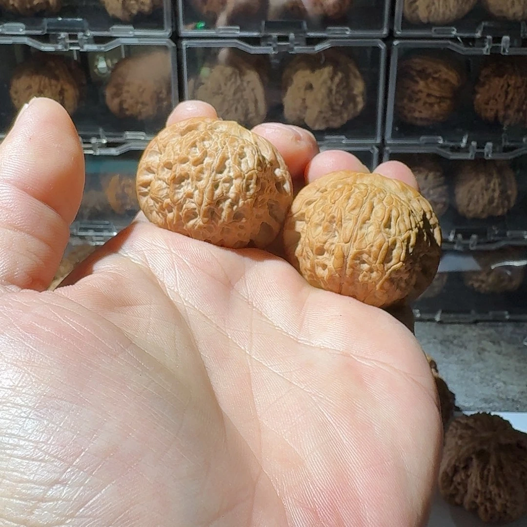 文玩核桃吊坠41全品血麒麟