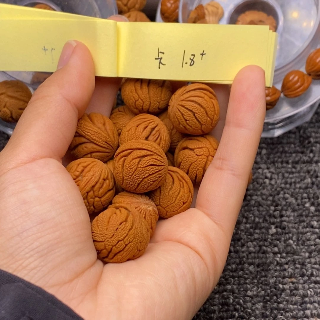 秦岭山脉龙纹桃核 单圈 14