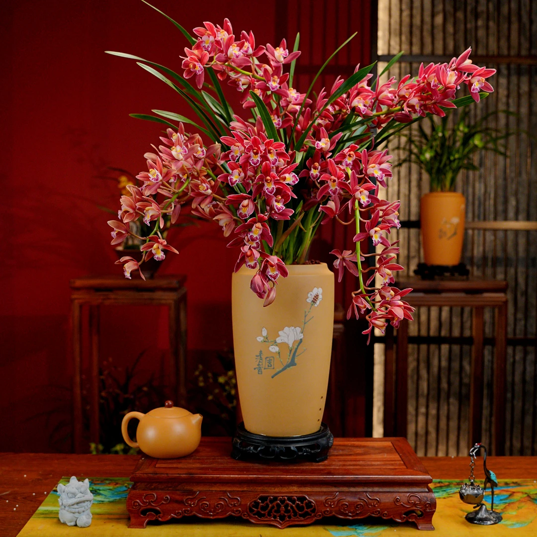 蕙兰铭品 特A级【状元红】带花苞 名贵兰花 黄段泥紫砂盆 室内好养