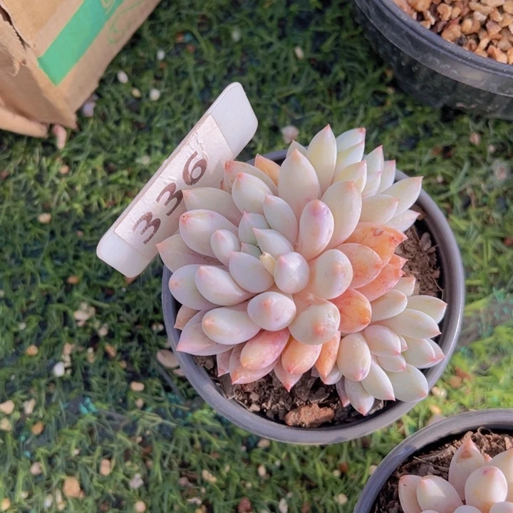 健健康康平平安安