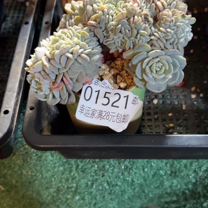 幸运的是我没有遇到过