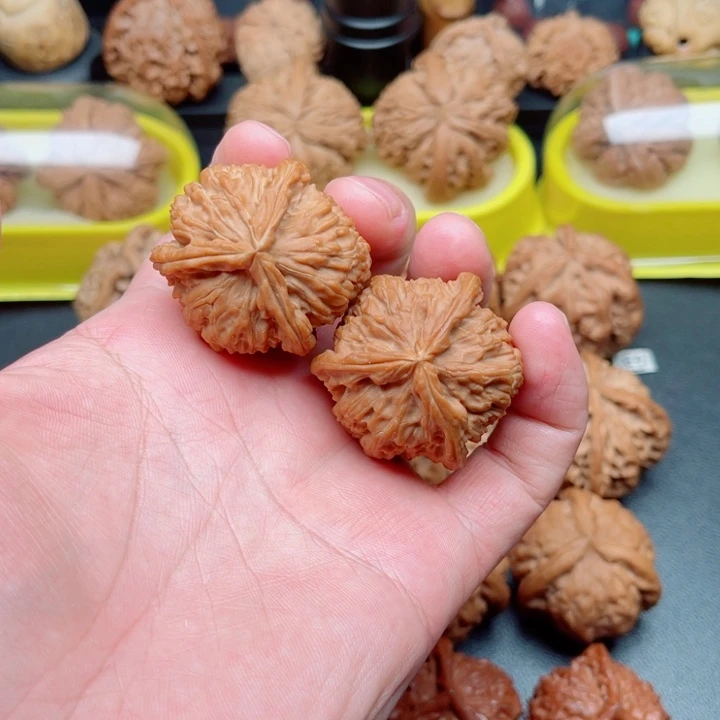 文玩核桃把件白狮子三棱38×37×37