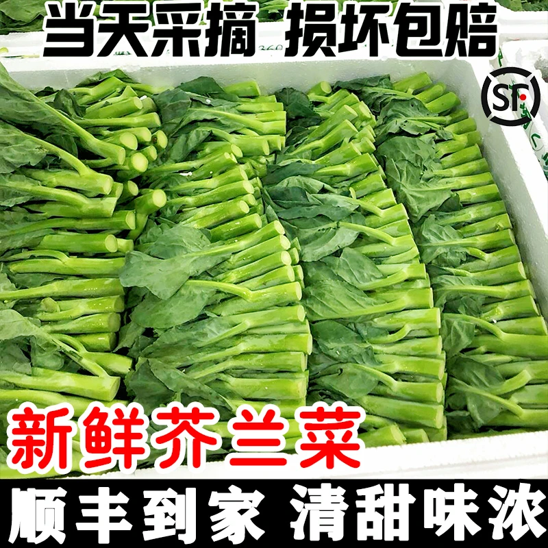 顺丰到家新鲜芥兰菜农家种植当季脆嫩绿叶甘蓝广东小芥蓝现摘蔬菜