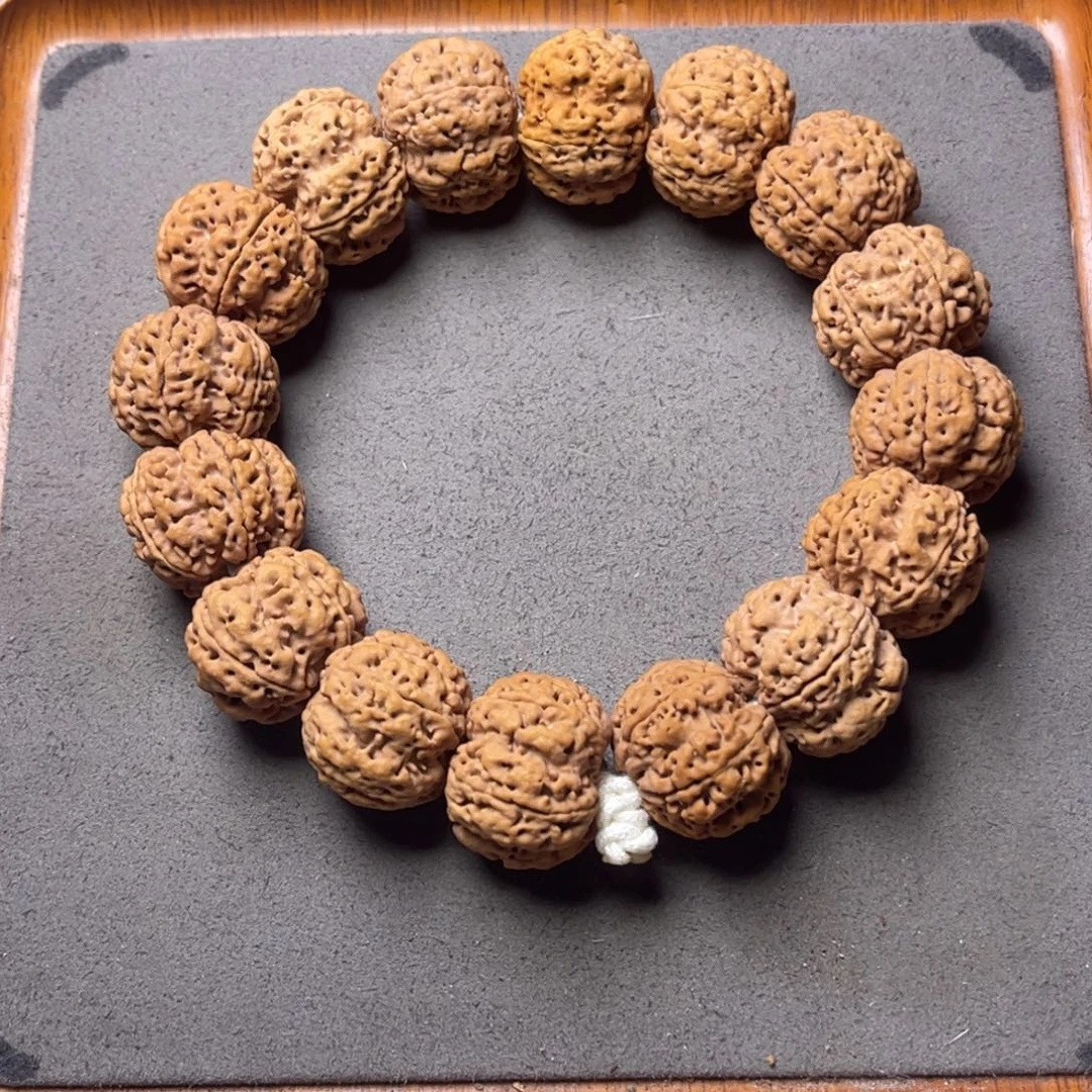 菩提34号金刚菩提满肉梅花24