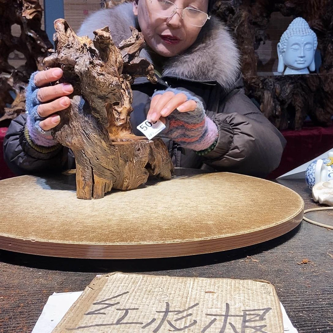 诚***下505株木随行的小根艺