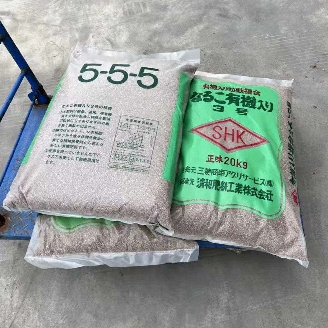 盆景皋月杜鹃555