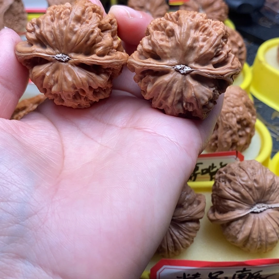 溜***猪菩提籽类粗筋粗筋