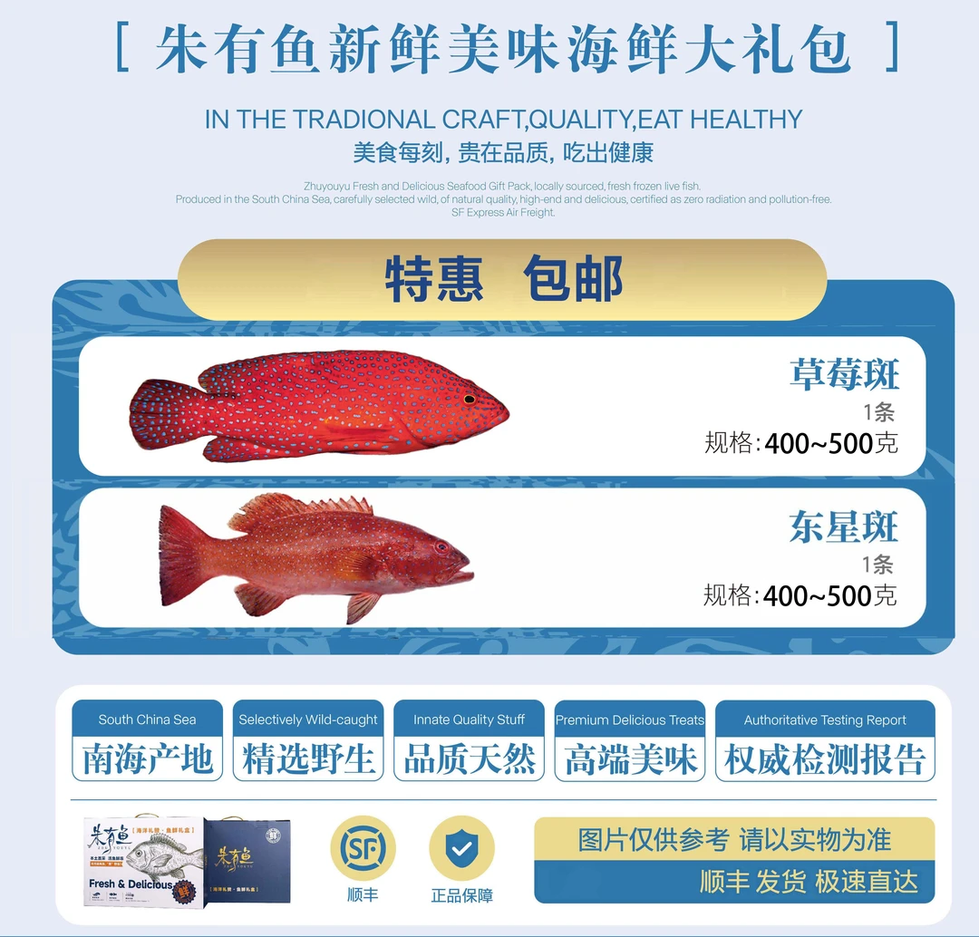 【朱有鱼】南海野生海鱼新鲜海鲜礼盒包装清蒸美味适合宝宝孕妈妈