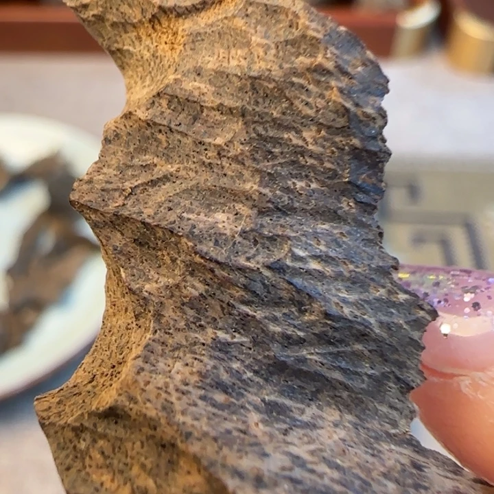 沉香摆件海南霸王岭沉水包头1.2克