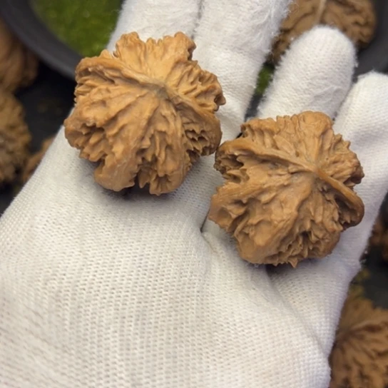 文玩核桃把件秦岭核桃210