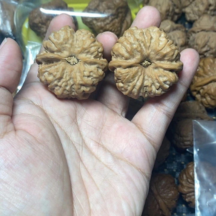 康***肉文玩核桃把件蛤蟆40