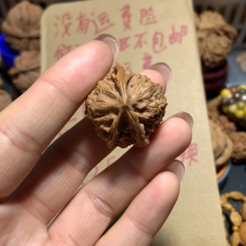 核桃岁*静小三棱生命一个