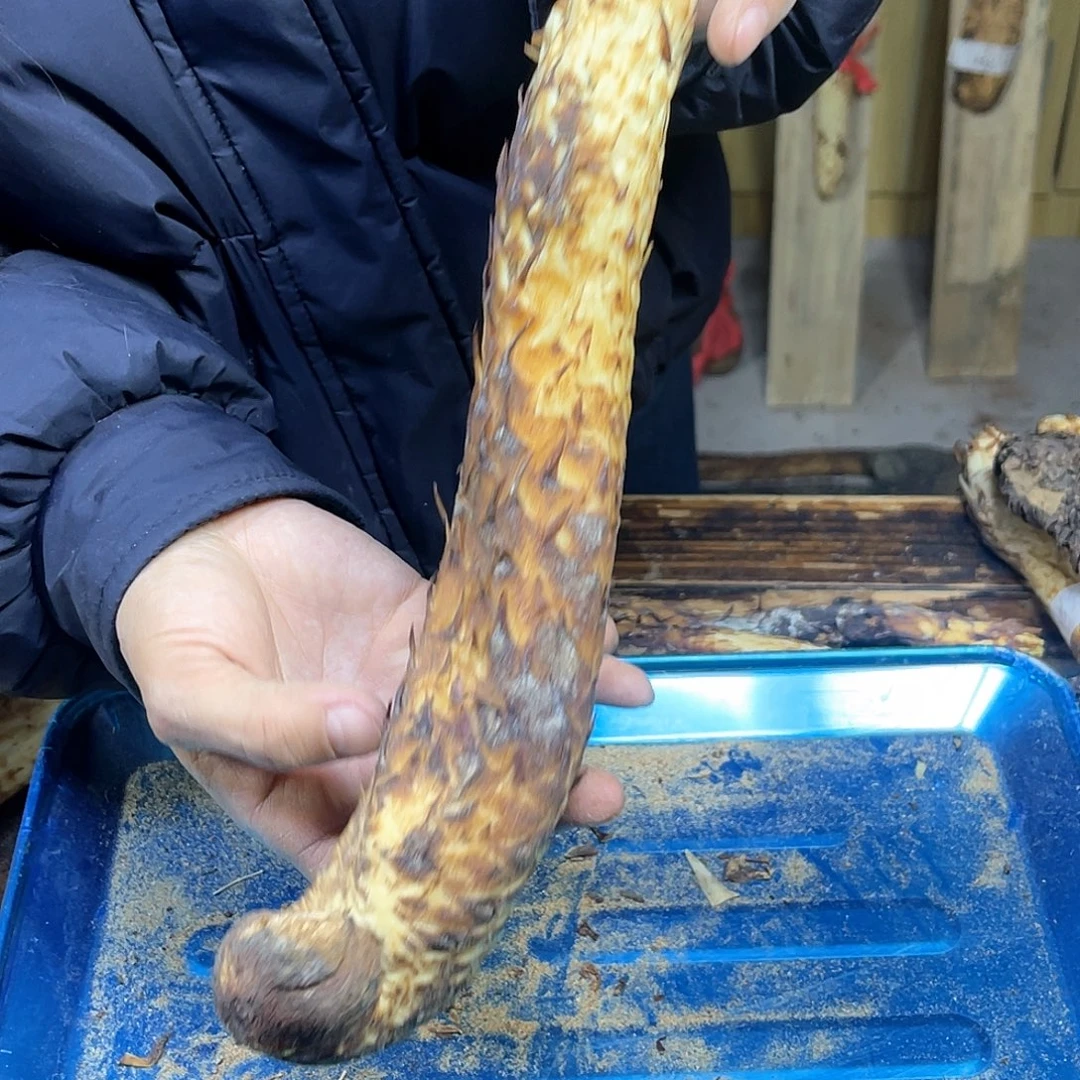 中国大陆阿拉善沙漠的秒杀
