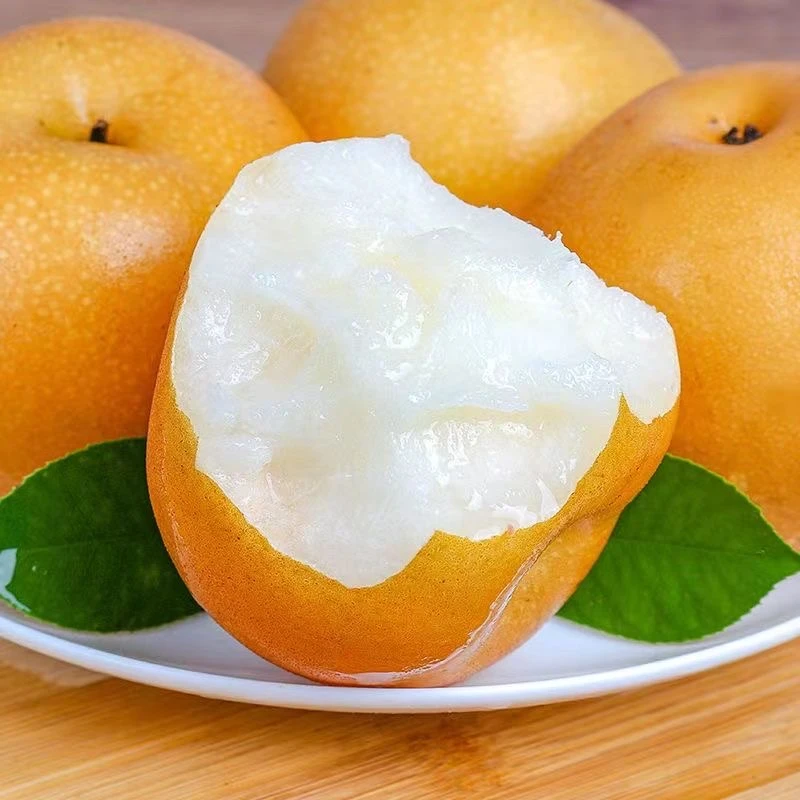 梨子冰糖丰水梨正宗薄皮冰糖甜梨脆梨黄皮梨现摘新鲜应季水果整箱