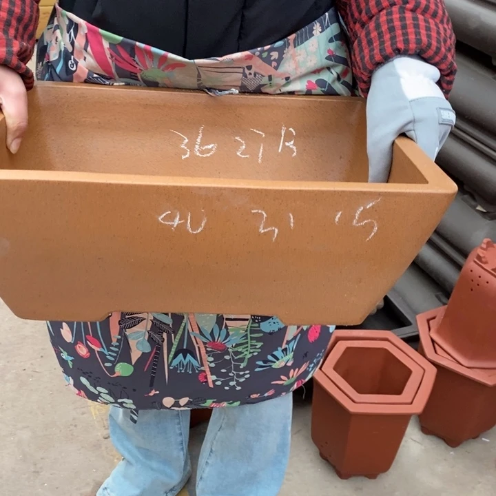 花盆紫砂只顾看手机