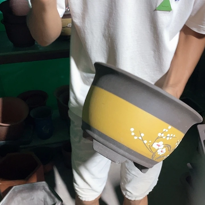 花盆花盆花盆花盆花盆