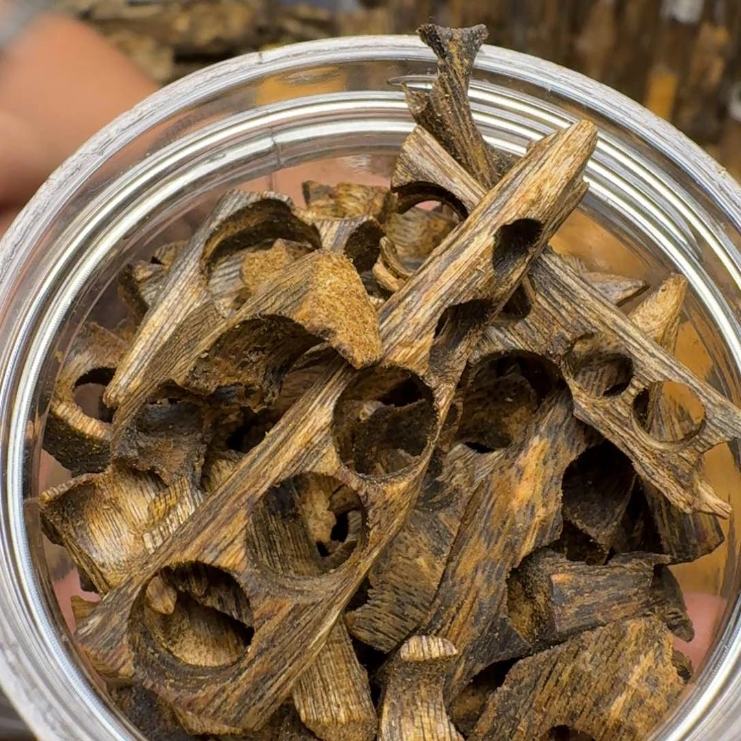 沉香碎屑沉香白棋高油碎料35克