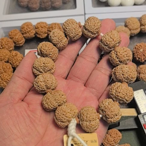 手串金刚菩提菠萝蜜大金刚手串，全品无黄，没有歪籽