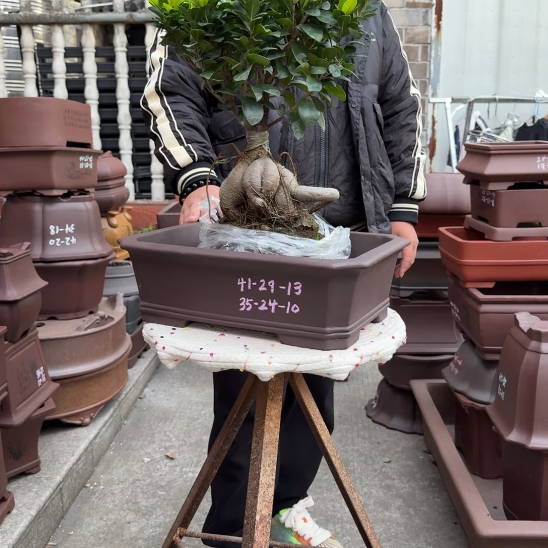 花盆紫砂紫砂花盆