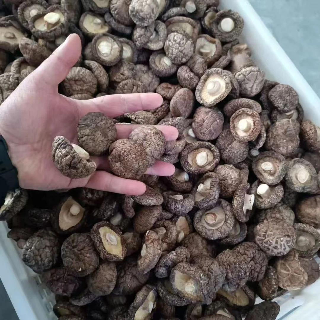 【到手3包】福建特产香菇干货煲汤炒菜浓香特嫩30克/包