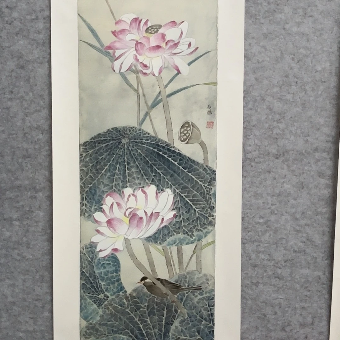 国画花鸟等多种鸟类