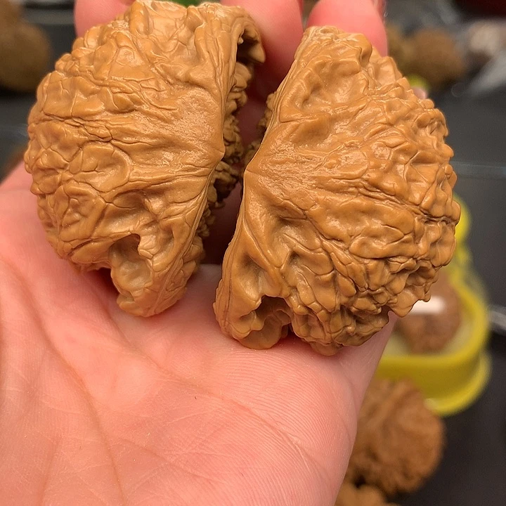文玩核桃吊坠振**华49蛇王