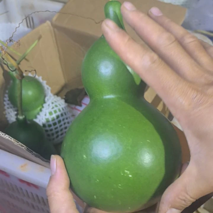 你***看木葫芦摆件家庭摆件