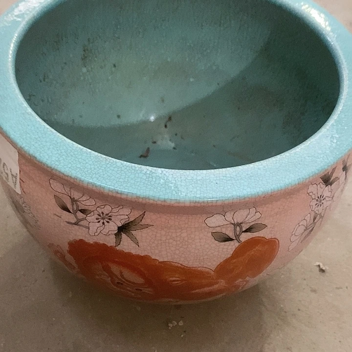 瓷片你在一起我就不想和