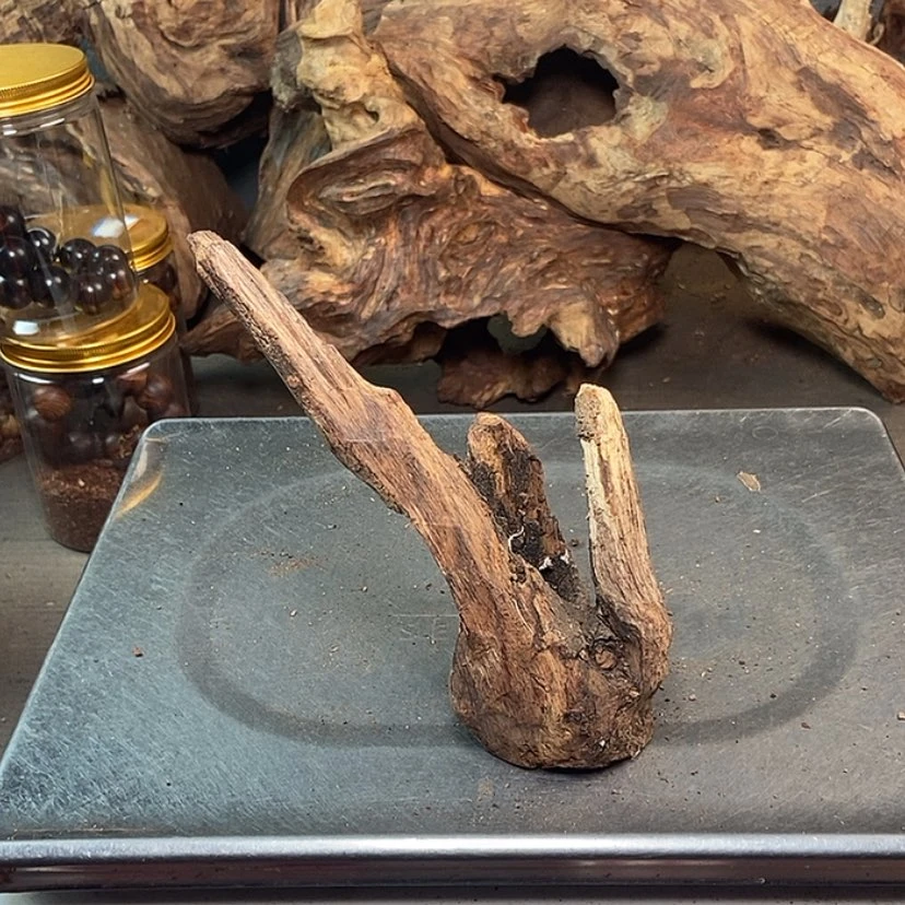【闪购商品】黄花梨/降香黄檀天**勤