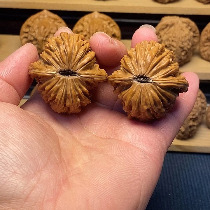 核桃41楼福利核桃