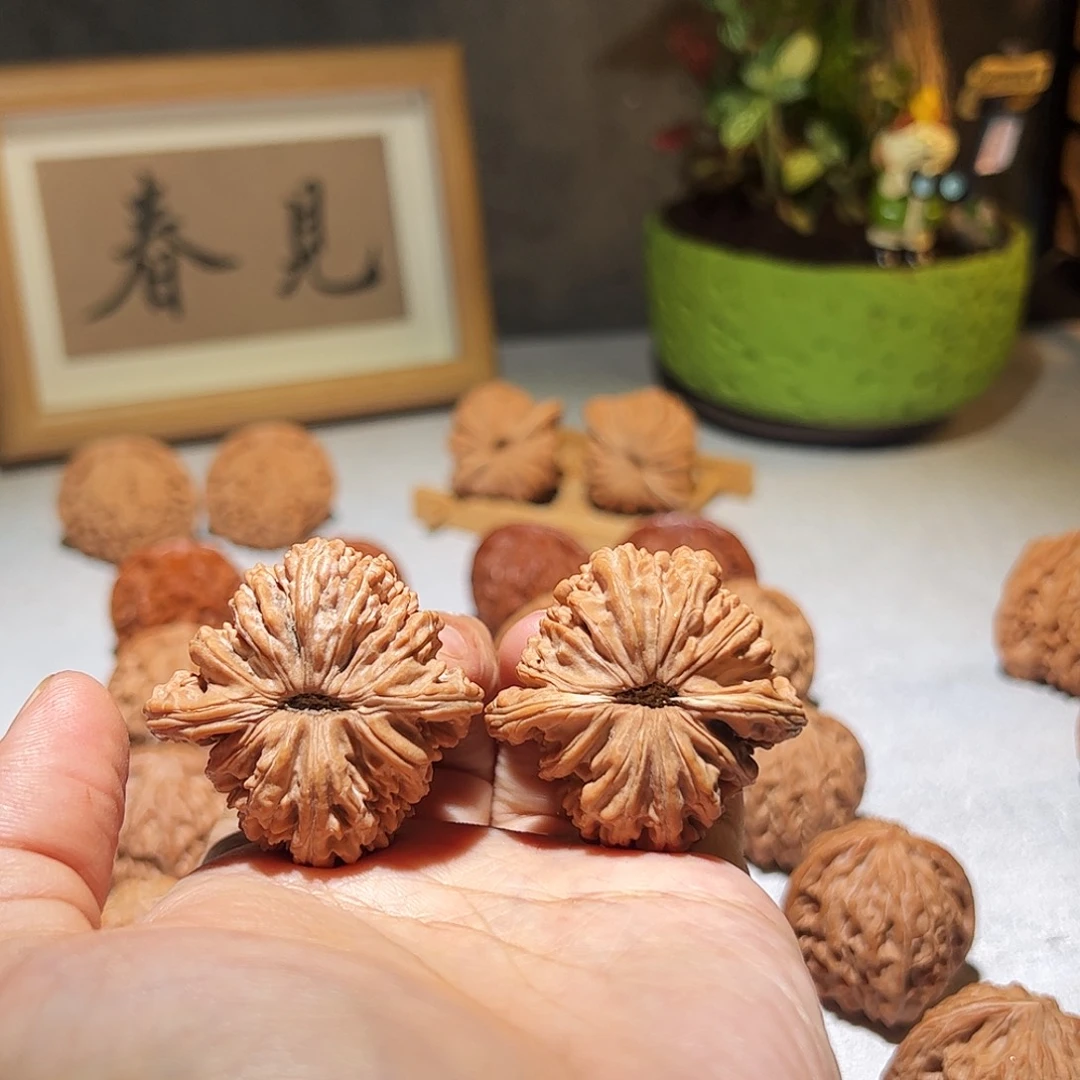 核桃41汉高楼全品