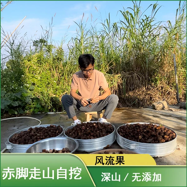 风流果自采自晒