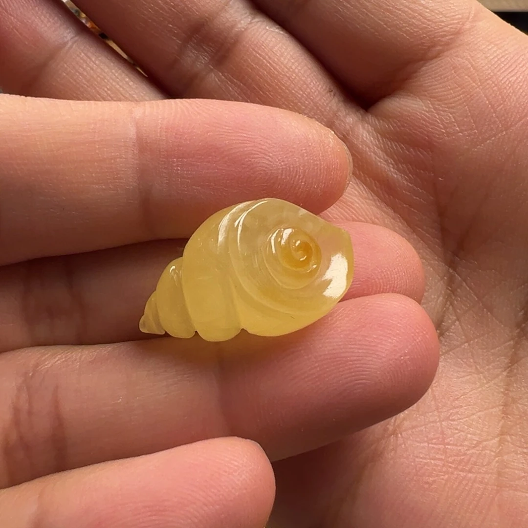 蜜蜡颈饰未镶嵌海螺（打孔不退换）